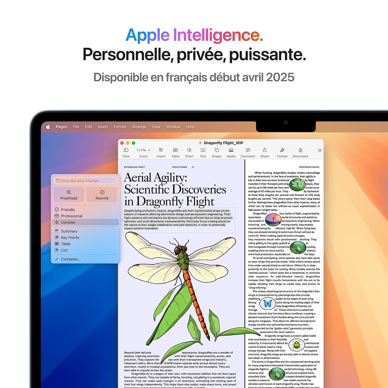 Apple MacBook Air M4 13 pouces (2025) Bleu ciel 24Go/512 Go (MC6V4FN/A) 4 Apple MacBook Air M4 13 pouces (2025) Bleu ciel 24Go/512 Go (MC6V4FN/A) – Image 4