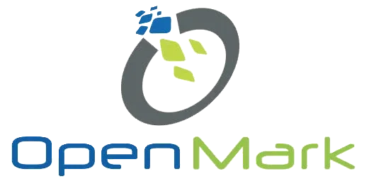 Open Mark leader de la vente de matériel informatique en ligne